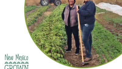 New Mexico Approved Supplier Program